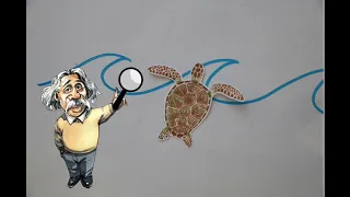 Sea Turtle Navigation