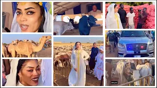 Sokhna Aida DIALLO mou Cheikh Bethio THIOUNE prépare le thiante du 17 AVRIL achat de bœufs, moutons