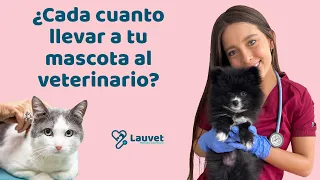 ¿CADA CUANTO DEBO LLEVAR A MI MASCOTA AL VETERINARIO? - Lauvet