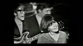 We Five - You Were On My Mind  (1965)(Stereo)