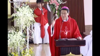 Bài giảng Chúa Nhật VII Phục Sinh - Chúa Thăng Thiên - năm B