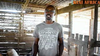 FARMING PAYS: A MASTER CLASS ON PIG FARMING :HOW TO START AND GROW A PIG FARM IN KENYA.