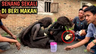 BIKIN GELENG‼️SUKU MANTE SANGAT BERTRIMA KASIH SAAT DI BERI MAKAN