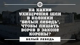 Колония "Белый лебедь". На какие ухищрения шли в колонии, чтобы лишать воров в законе короны?