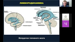 Ликвородинамика и ее нарушения. Лекция. Нейрохирург. Ошурков П.А. Екатеринбург