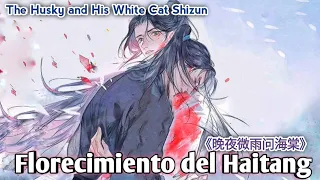 Florecimiento del Haitang《晚夜微雨问海棠》| The Husky and His White Cat Shizun 【二哈与他的白猫师尊】