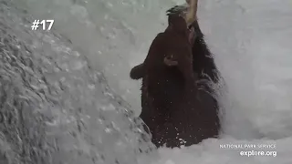 Catch Of the Day | Best Of Bear Cam
