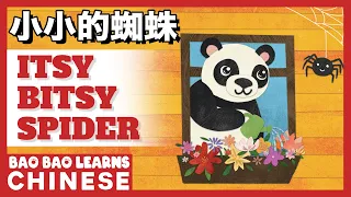 ♫ Chinese Songs For Kids | 小小的蜘蛛 | Itsy Bitsy Spider | 儿歌 | Children's Songs |Bao Bao Learns Chinese