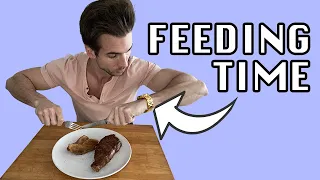 Carnivore Tries Intermittent Fasting for One Week, This is What Happened | Carnivore Diet Week Seven