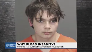 Criminal defense attorney explains the process of client pursuing insanity plea