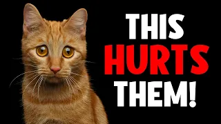 16 Things That Emotionally HURT a Cat (Be Careful)