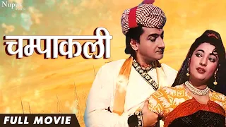 Champakali 1957 |  Evergreen Hindi Movie | Bharat Bhushan, Suchitra Sen | Nupur Movies