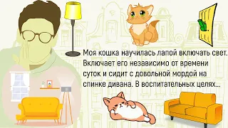 🏠Моя Собака Знает Команду...Большой Сборник Лучших Историй Из Жизни,Для Супер Настроения!Дайджест!