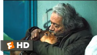 A Dog's Way Home (2018) - A Homeless Dog Scene (6/10) | Movieclips