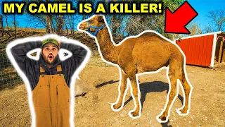 My PET Camel KILLED the BACKYARD FARM Animal! (They had to be rescued)