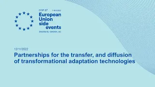 Partnerships for the transfer, and diffusion of transformational adaptation technologies