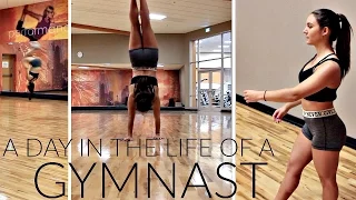 A Day In the Life of A GYMNAST !! | Tumbling Challenge