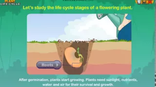 Plant Life Cycle & What Plants Need To Grow *Earth Science for Kids*