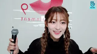 [시그니처 세미] 세미랑 연말 파티💙 (221227 VLIVE) / [cignatrue Semi]