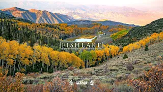 FISHLAKE National Forest 8K Utah (Visually Stunning 3min Tour)