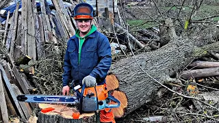✅НАПРАВЛЕННАЯ ВАЛКА🪓 деревьев в ограниченном пространстве!✅ #logger #lumberjacks #arborist  #Belarus