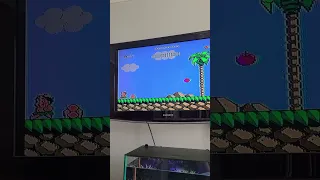 NES Adventure Island 3 Game Test