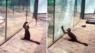 15 Times Where The Glass Was Almost Not Strong Enough #2