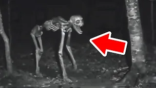 HORRIFYING Camping Encounters That’ll Give You Chills