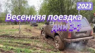 Неделя в лесу, дни 2-7