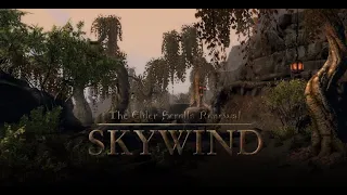 Skywind Showcase Compilation #1