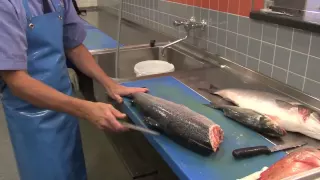 Hoe fileer je een vis
