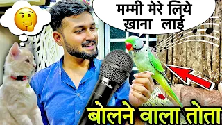 बोलने वाला तोता | बात करने वाला तोता #bolnewalatota #talkingparrot #birds #petslover #तोते #mitthu