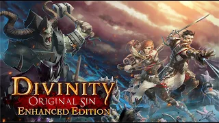 Divinity Original Sin Enhanced Edition - Fighting Evelyn