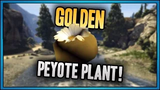 GTA 5 7 Golden Peyote plants found and location.