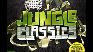 06. Adam F - The Original Junglesound (Jungle Classics)