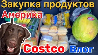 США Влог Что с Милкой Закупка продуктов в Costco Семейный Влог Большая семья Big family in USA VLOG