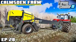 BALING SOME TREES | Calmsden Farm | Farming Simulator 22 - Episode 28