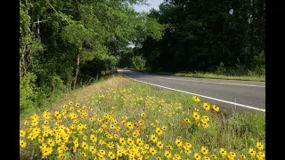 BYWAY TOLEDO BEND 4K WEB V2