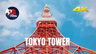 [4K] TOKYO TOWER