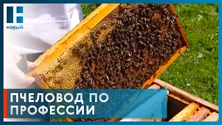 Пчеловоды региона рассказали об уникальности мёда из Тамбовской области