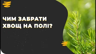 ХВОЩ НА ПОЛІ😒 . Є ЕФЕКТИВНИЙ ПРЕПАРАТ?