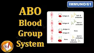 ABO Blood Group System (FL-Immuno/61)