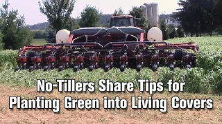 No-Tillers Share Tips for Planting Green into Living Covers
