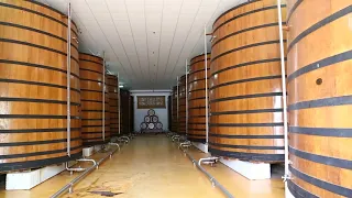 ALVISA EMBOTELLADO / BOTTLING ALVISA