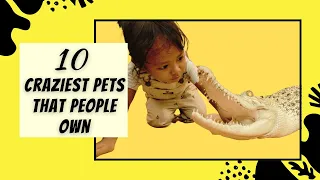 10 Craziest Pets That People Own
