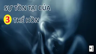 Đặc điểm, sự tồn tại và tương tác của 3 thể hồn đối với cơ thể con người - Vạn vật giác ngộ