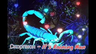 Скорпион - It's Raining Men|Шоу "Маска-4"|[9-Выпуск🌂]