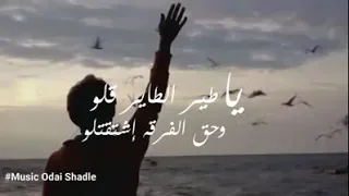 ياطير الطاير قلو وحق الفرقة#اشتقتلللو   حالات واتس