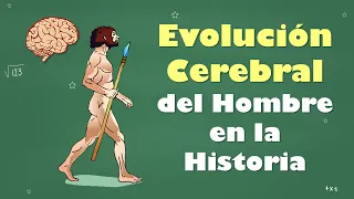 ⭐Evolución Cerebral del Hombre en la Historia 📘 aulamedia Historia