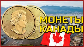 Куда вкладывать деньги? Канадский Кленовый лист. Инвестиционные монеты Канады